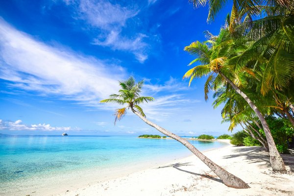 Bonos exclusivos de Tower Rush