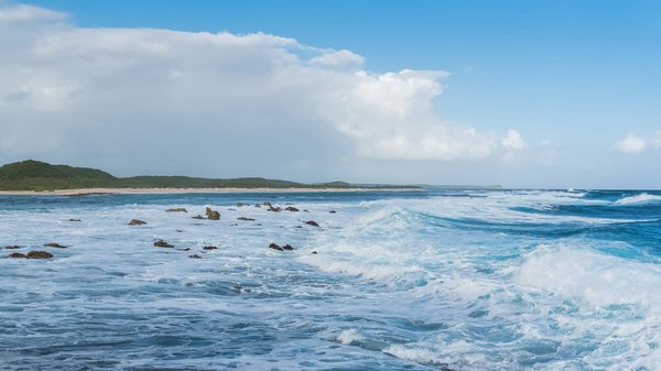 Which UK castles offer the most immersive experiences in medieval British warfare?